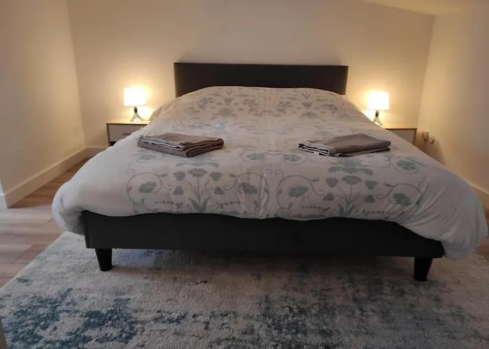 Vakantiehuis T2 Duplex Plein Centre - Entier - Nouveau *