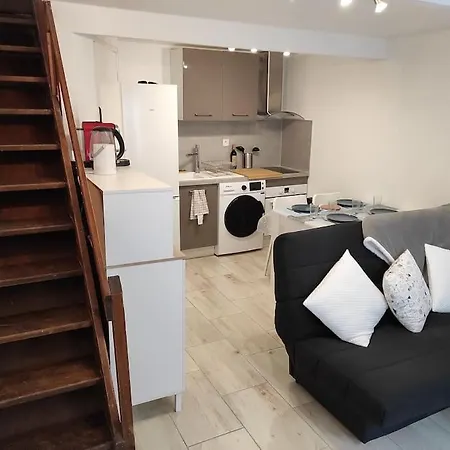 T2 Duplex Plein Centre - Entier - Nouveau * 帕米耶