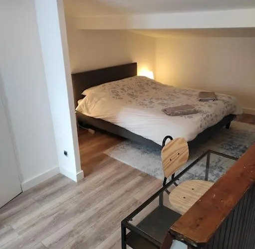 T2 Duplex Plein Centre - Entier - Nouveau Nyaraló Pamiers